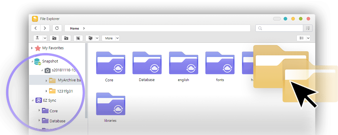MyArchive, Collections